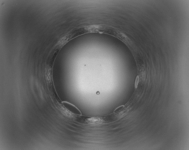 X0000056360477200509091627