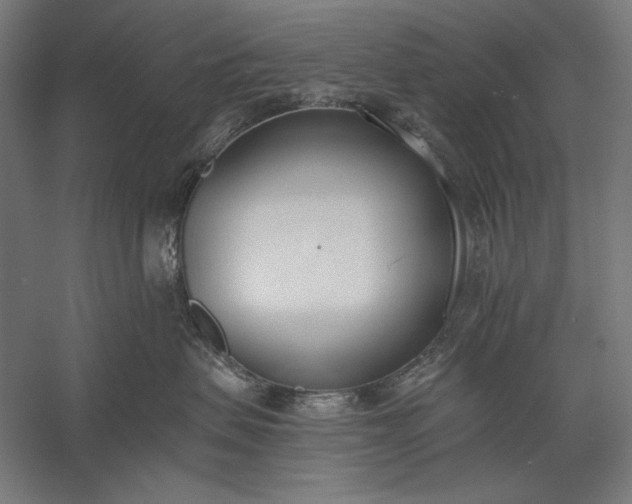 X0000056360479200509091627