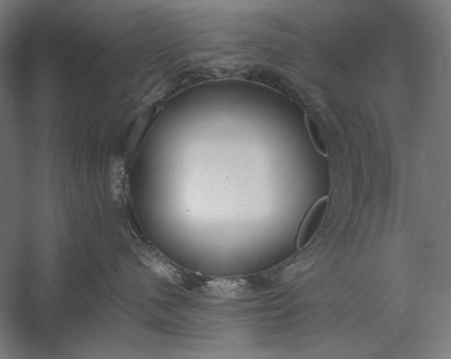 X0000056360480200509091627