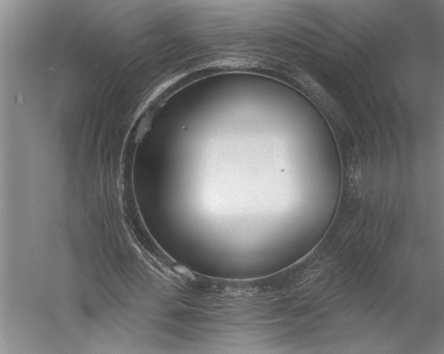 X0000056360484200509091626