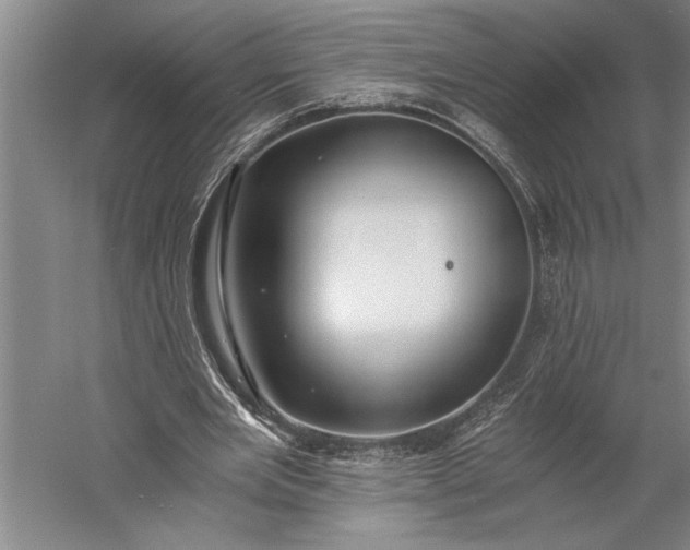 X0000056360485200509091626