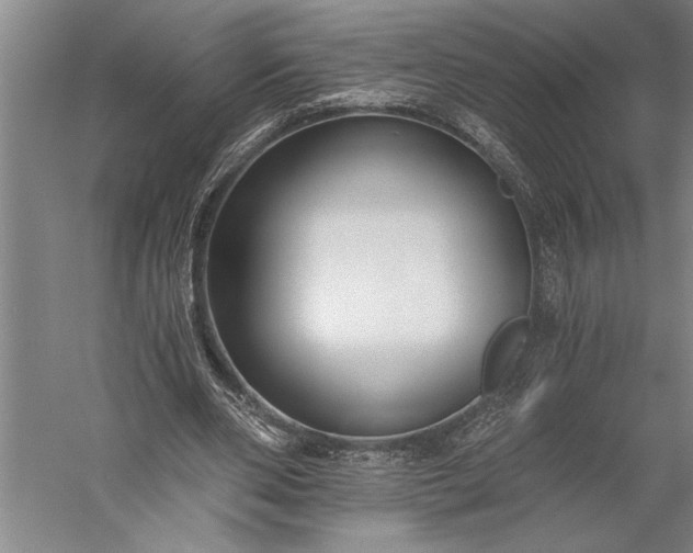 X0000056360486200509091626