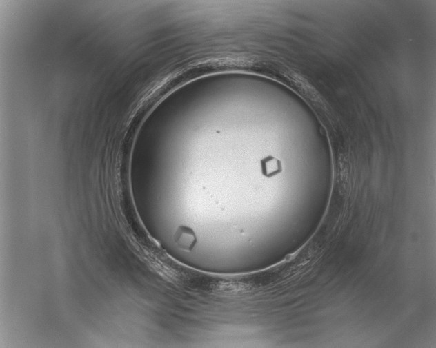 X0000056360487200509091626