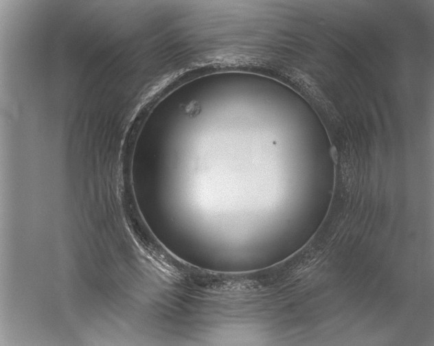 X0000056360488200509091626