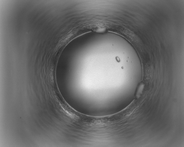 X0000056360489200509091626