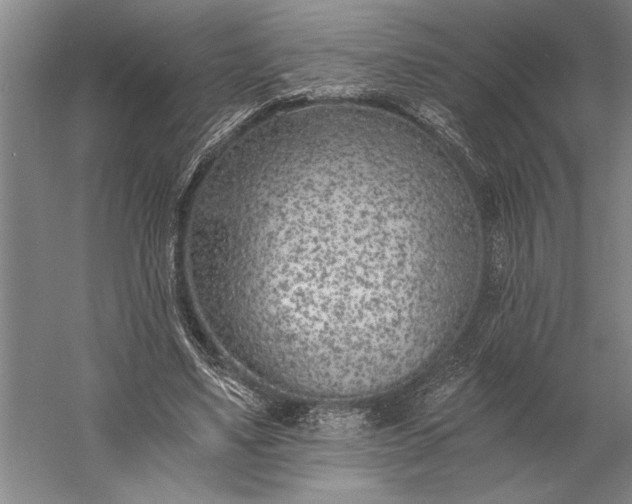 X0000056360491200509091626