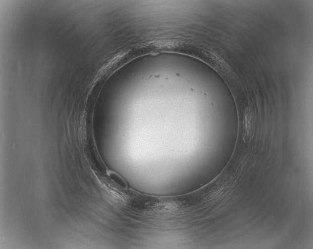 X0000056360492200509091626