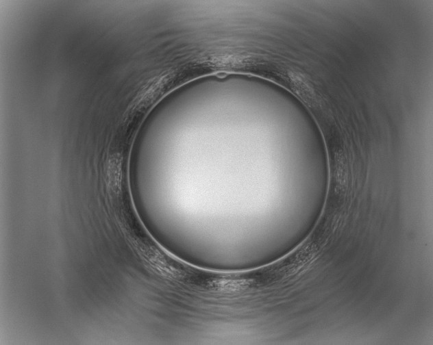 X0000056360495200509091626