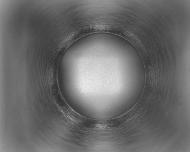 X0000056360496200509091626