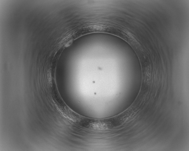 X0000056360500200509091626