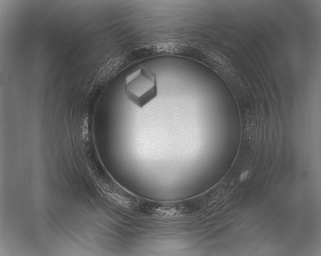 X0000056360502200509091626