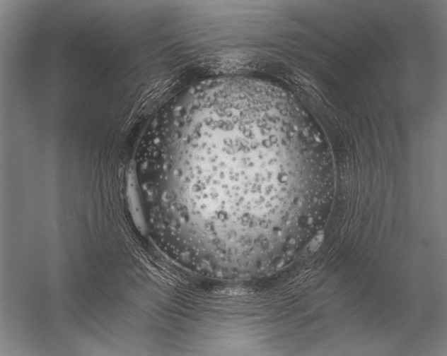 X0000056360503200509091626