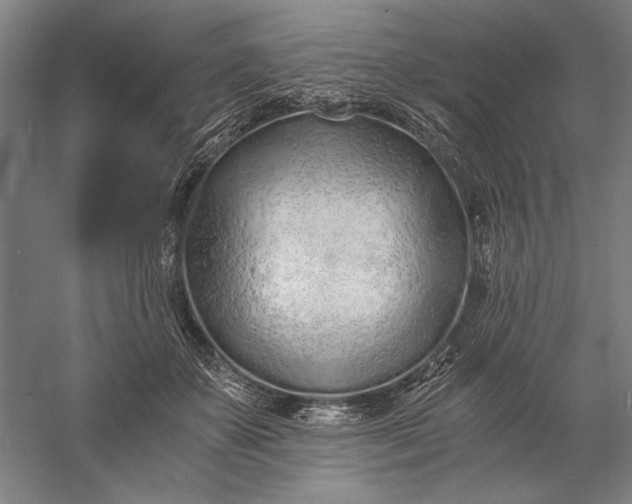 X0000056360507200509091626