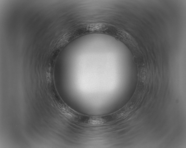 X0000056360510200509091626