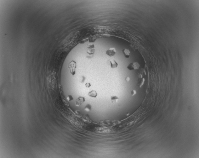 X0000056360511200509091626