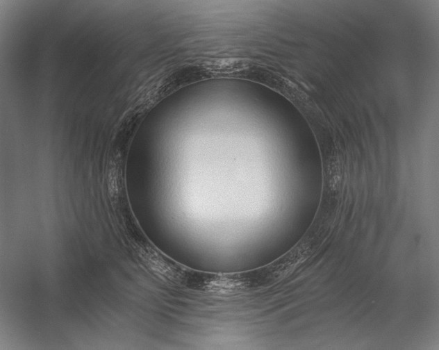 X0000056360515200509091626