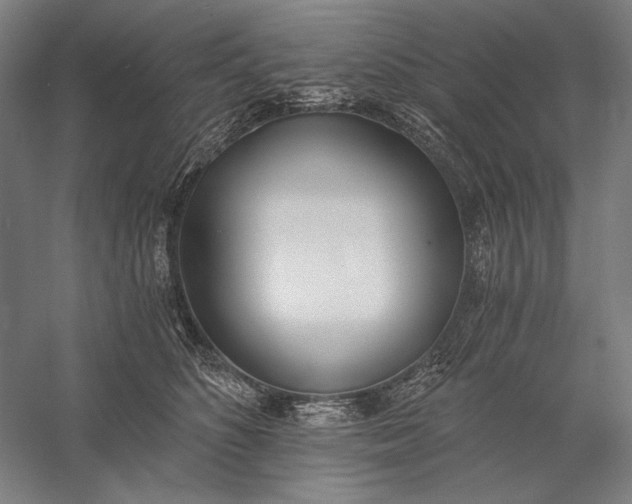 X0000056360516200509091626