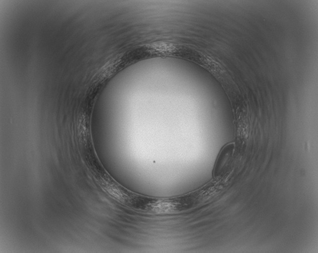 X0000056360518200509091626