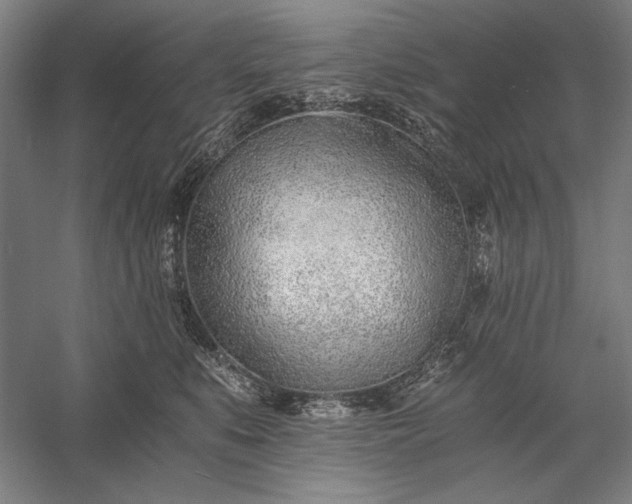 X0000056360519200509091626