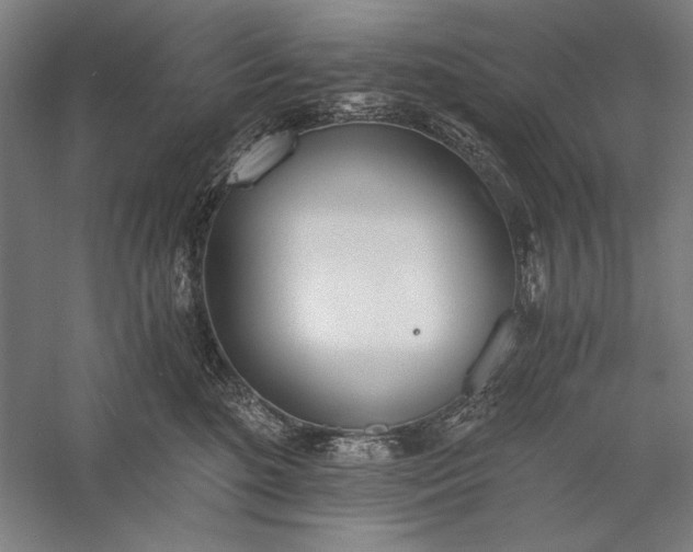 X0000056360520200509091626