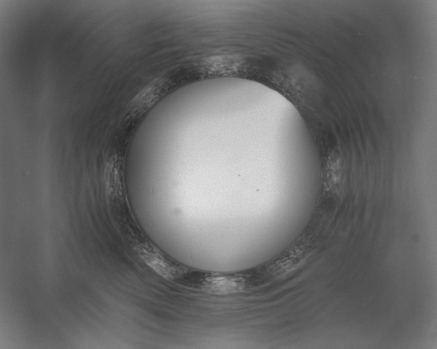 X0000056360522200509091626