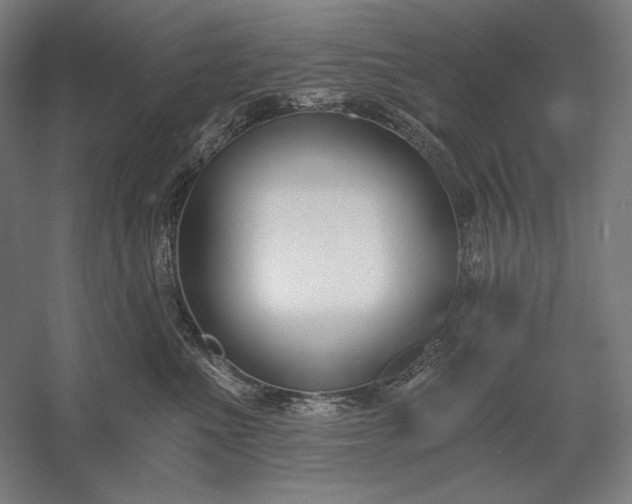 X0000056360523200509091626