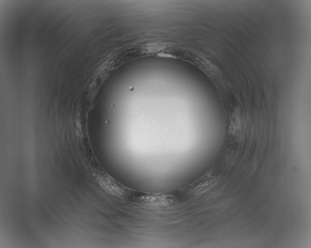 X0000056360524200509091626