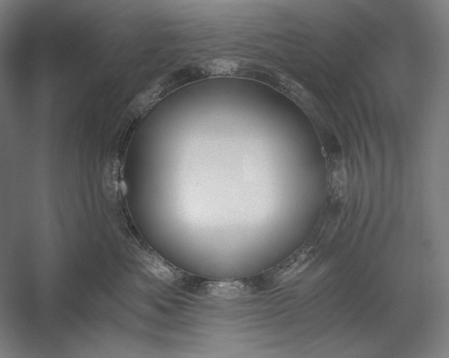 X0000056360525200509091626