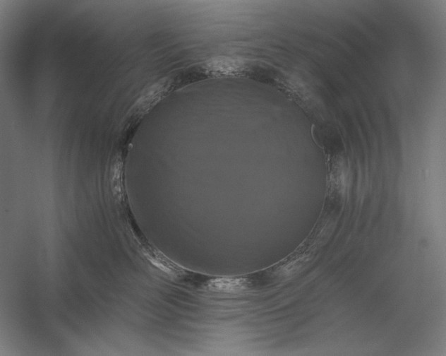 X0000056360526200509091626