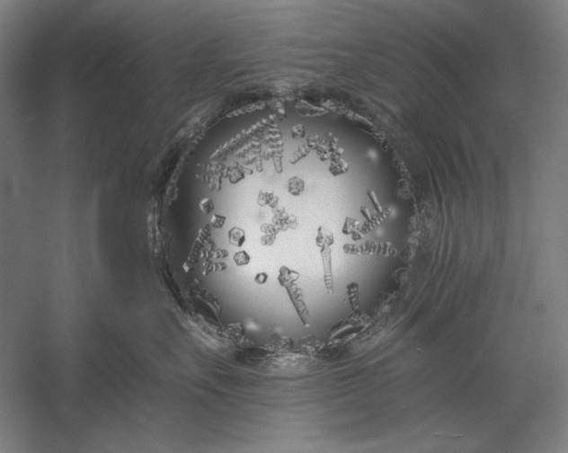 X0000056360527200509091626