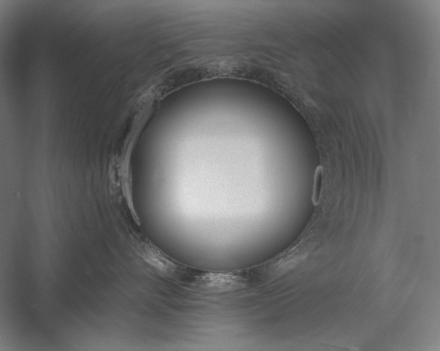 X0000056360528200509091626