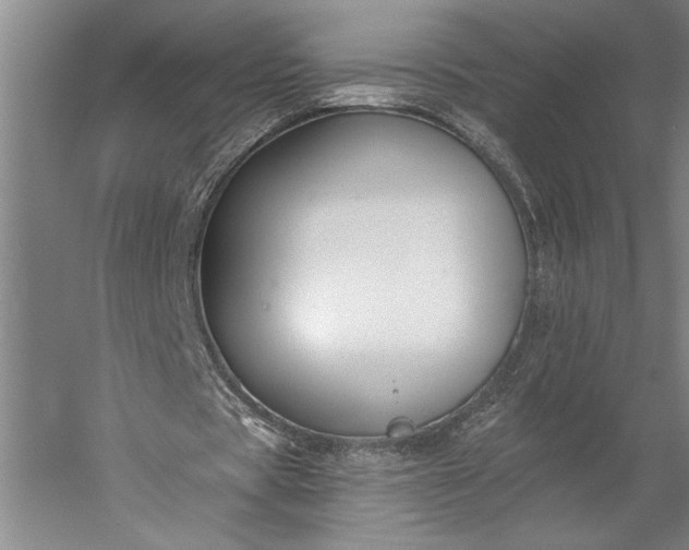 X0000056360529200509091625