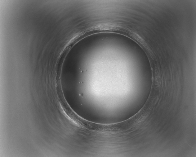 X0000056360530200509091625