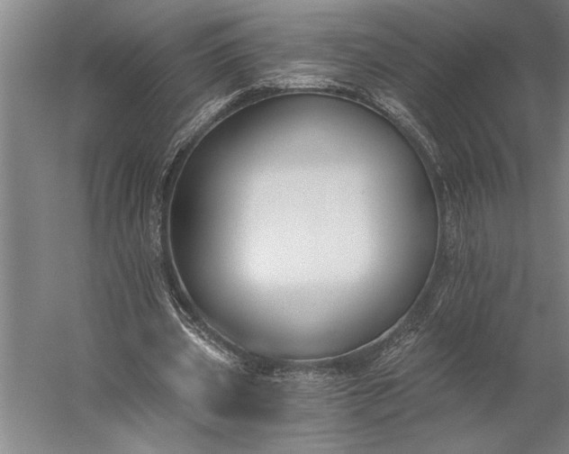 X0000056360533200509091625