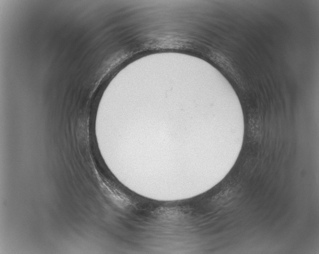 X0000056360534200509091625