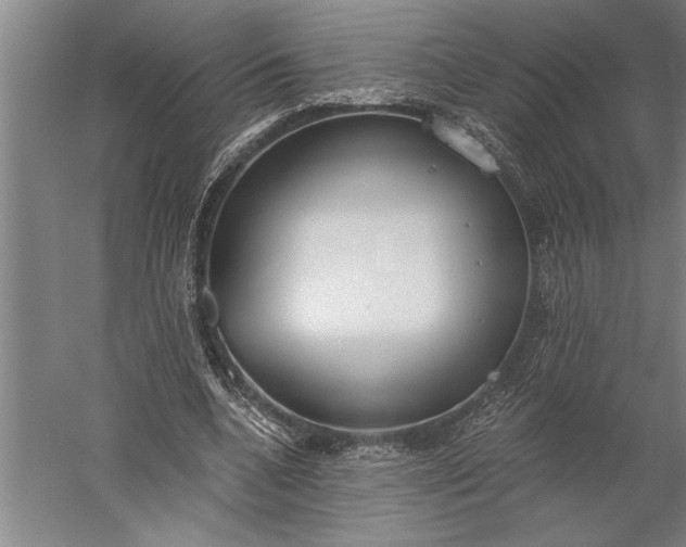 X0000056360536200509091625