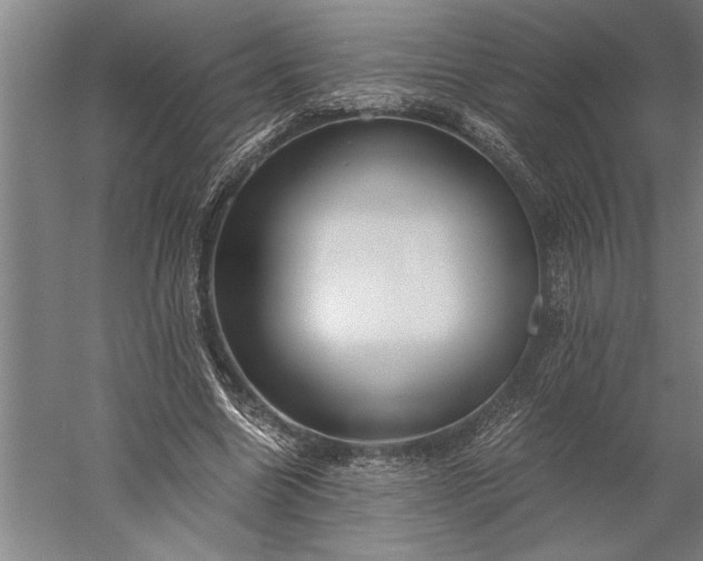 X0000056360538200509091625