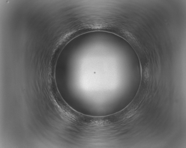 X0000056360540200509091625