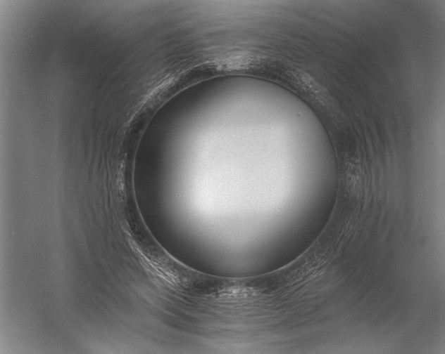 X0000056360543200509091625