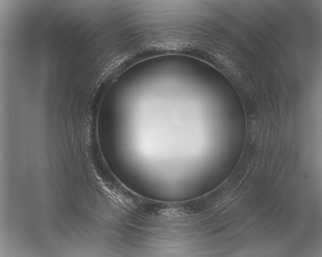 X0000056360544200509091625