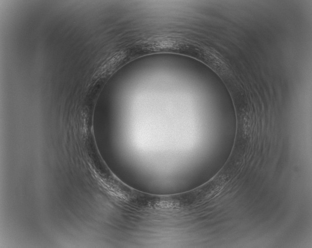 X0000056360546200509091625