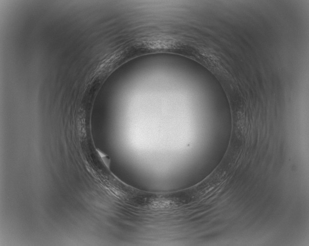 X0000056360547200509091625