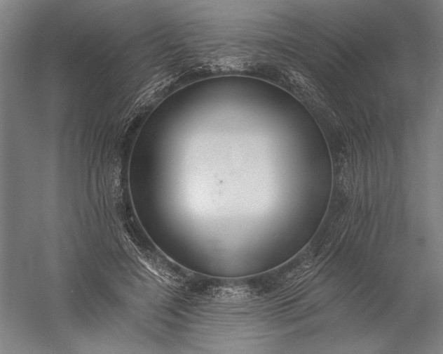 X0000056360548200509091625