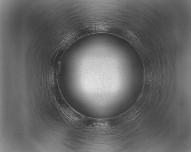 X0000056360552200509091625