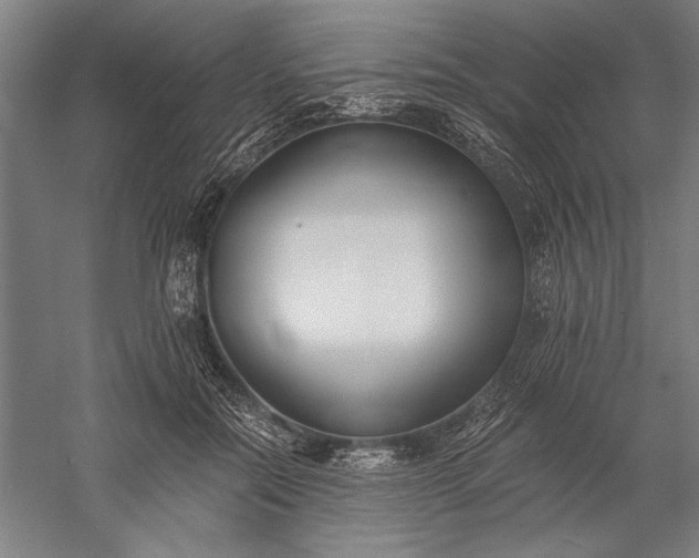 X0000056360554200509091625