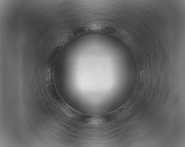 X0000056360555200509091625