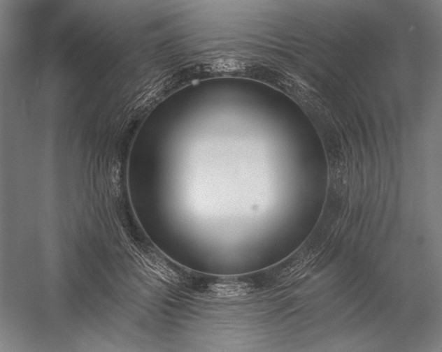 X0000056360556200509091625