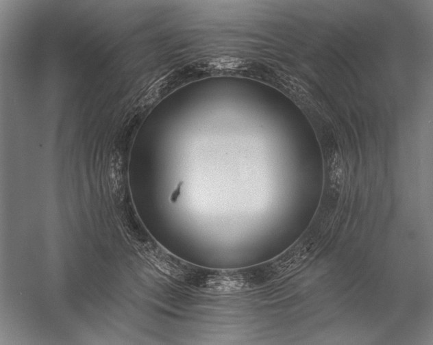 X0000056360559200509091625