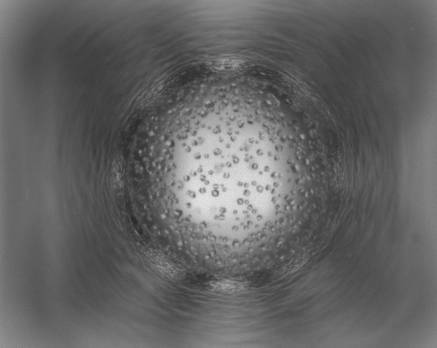 X0000056360561200509091625