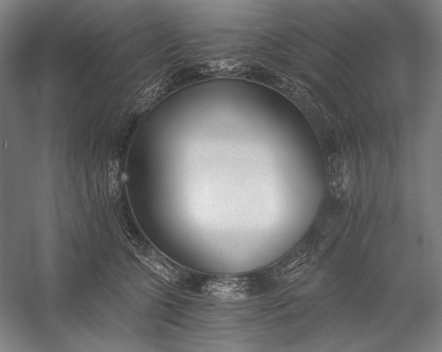 X0000056360563200509091625